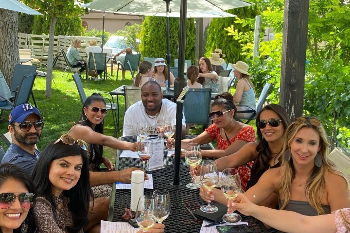 Group of people toasting with wine at an outdoor table with umbrellas on a sunny day.