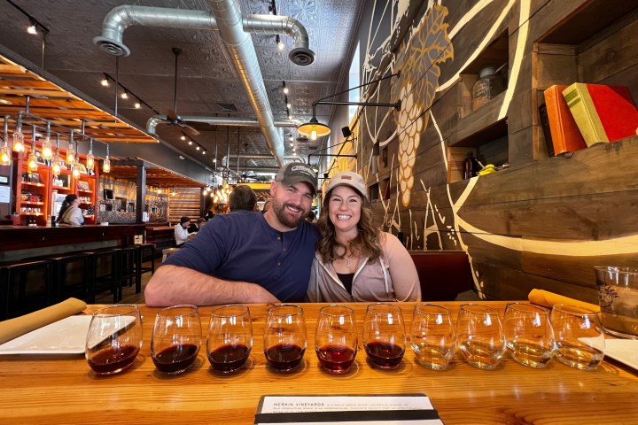 Two people smiling behind a row of wine glasses on a wooden bar.