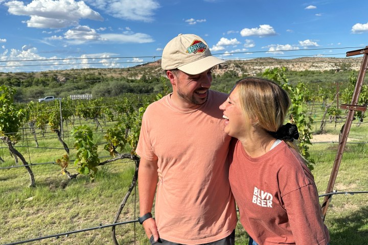 Two people laughing in a vineyard under a sunny blue sky with clouds.
