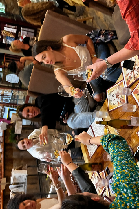 People toasting with wine glasses around a table in a cozy cafe setting.