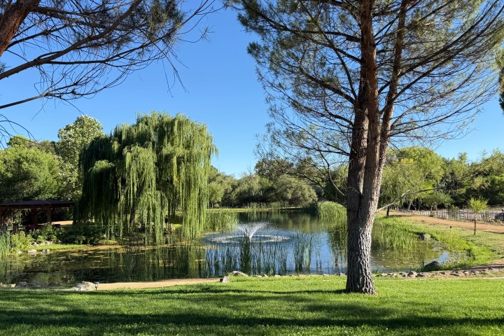 Scenic park view with a pond, trees, and a fountain under a clear blue sky.