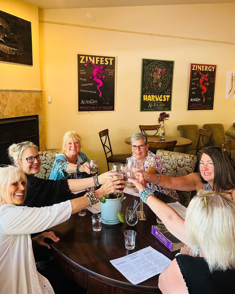 Group of six women toasting with wine glasses around a table in a cozy room with posters on the wall.