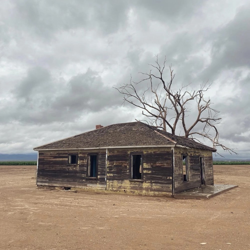 Abandoned wooden house with bare tree on a cloudy day in an open field.