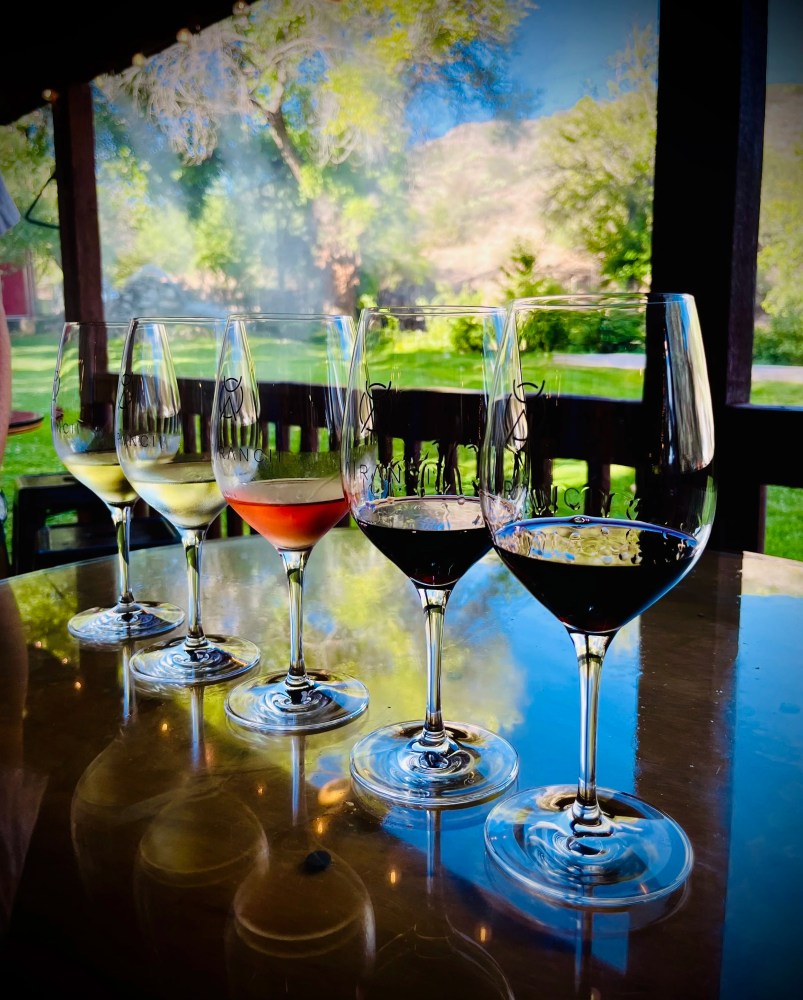 Five wine glasses with varied wine colors on a table with outdoor garden view.