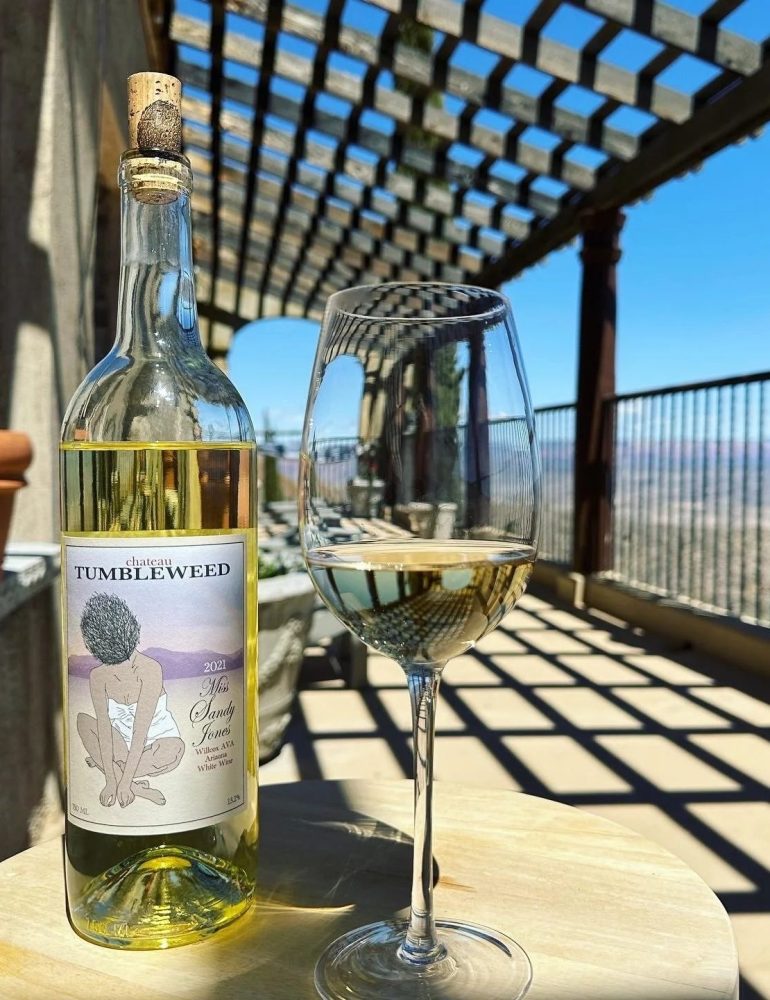 Wine bottle and glass on a table under a pergola with a scenic view.