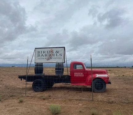 Red vintage truck with 'Birds & Barrels' sign parked in a grassy field.